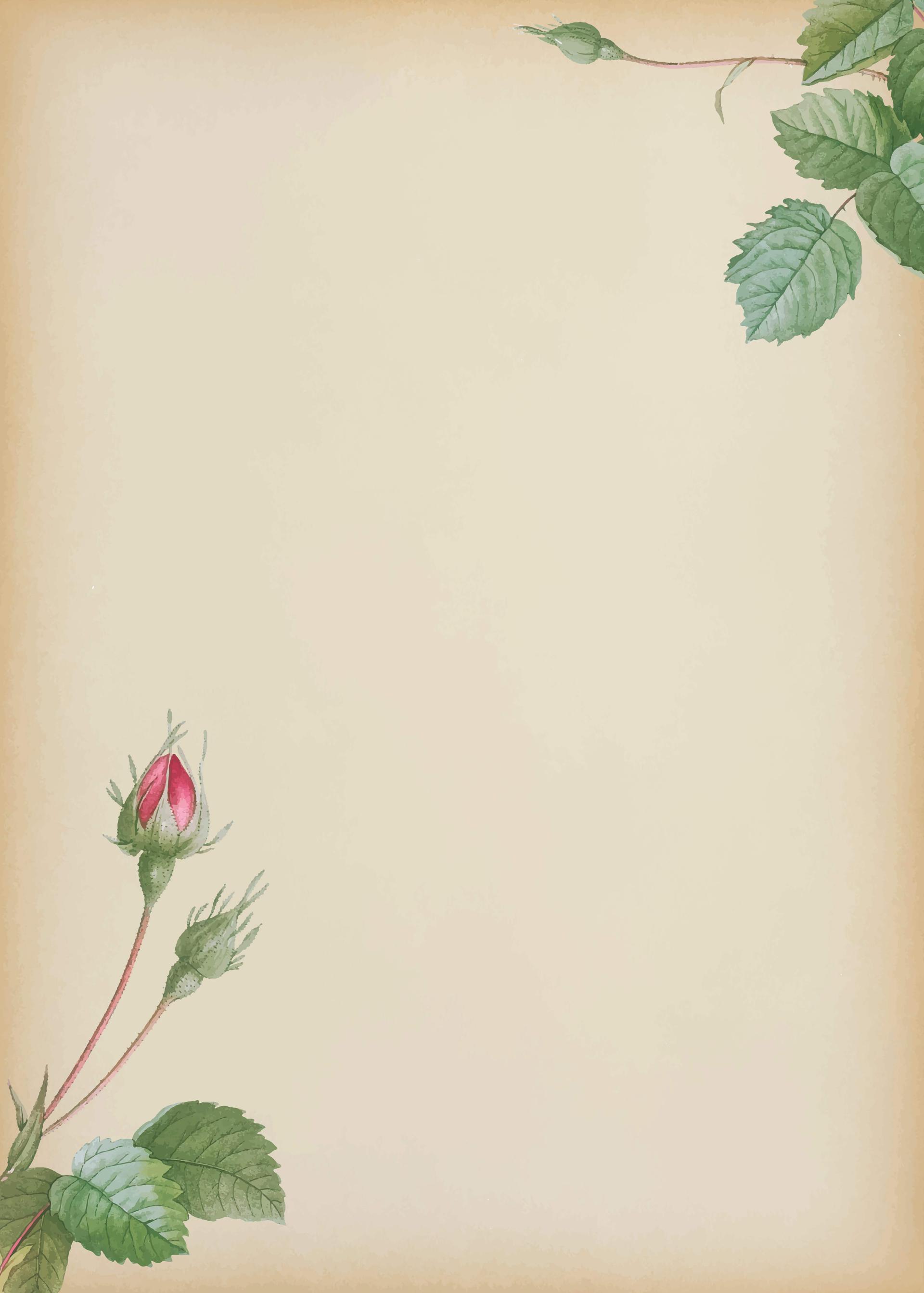 vintage stationery background